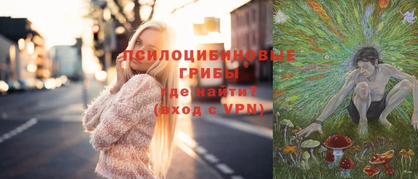 кокс Алексин