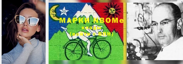 кокс Алексин